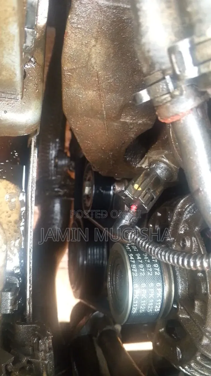 European Car Experts