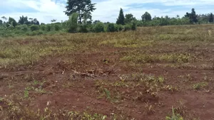 Plots for Sale. Located in Busiika-Namuganja
