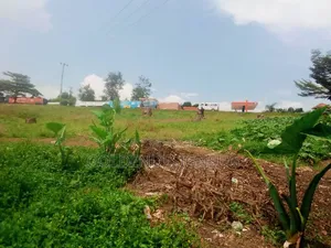 Plot of Land. Bukasa Muyenga