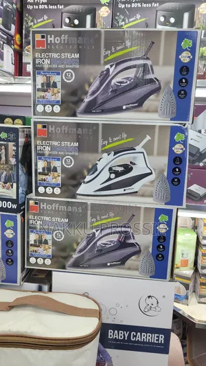 Electric Steam Iron