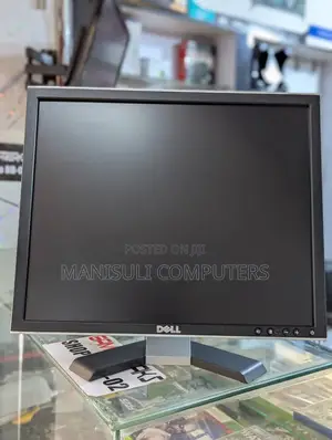 19 Inch Monitor Dell