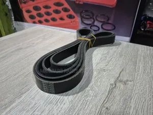 Timing Belts