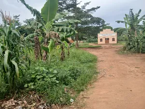 Titled Land