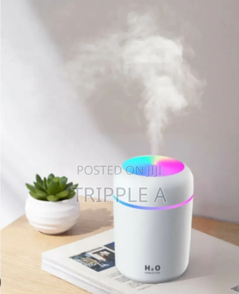 Luminous Water Humidifier