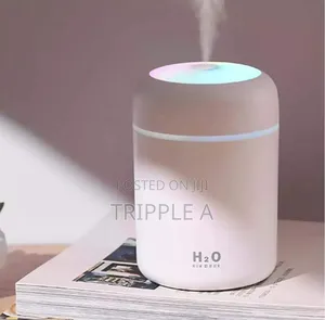 Luminous Water Humidifier