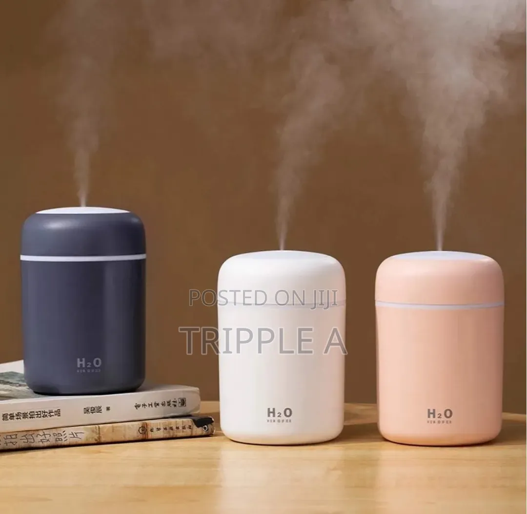 Luminous Water Humidifier