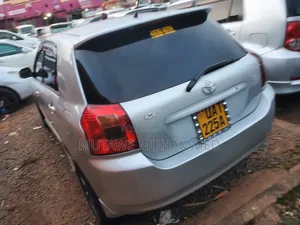 Toyota Allex 2006 Silver