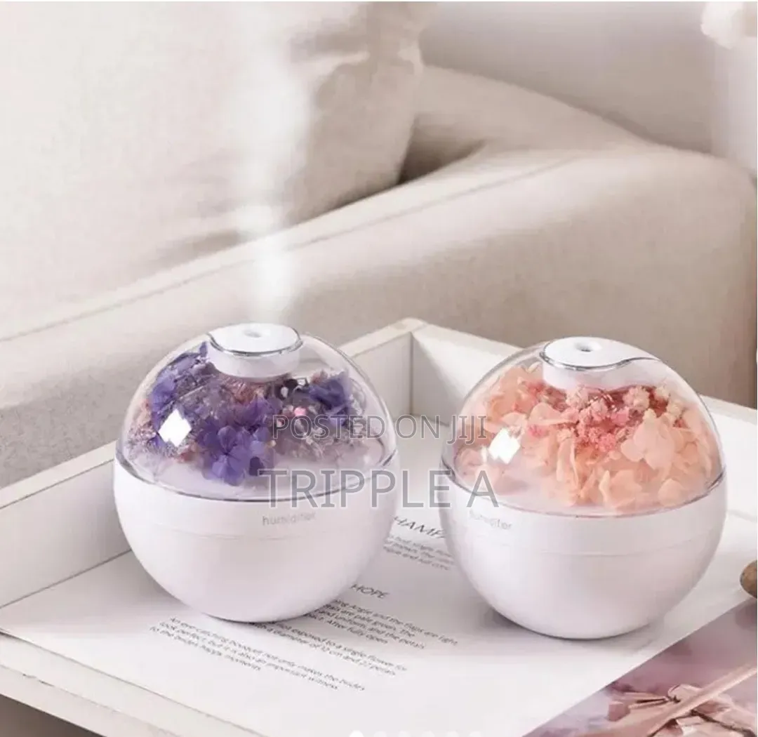 Globe-Shaped Usb Desktop Humidifier