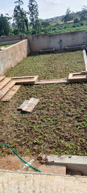 Grass Weeding And Mowing
