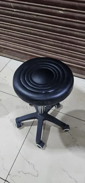 Laboratory and Studio Adjustable Stools