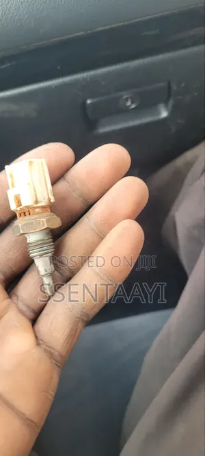 Auto Spare and Wiring
