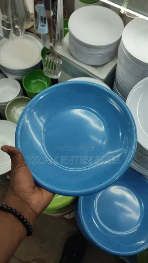 Melamine Dinner Plates