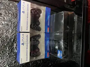 Ps4 Standard Chipped 2 Pads FXT