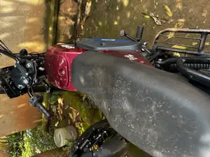 Motorcycle 2025 Purple