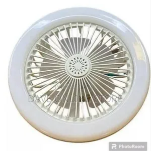 2-in-1 Ceiling Fan