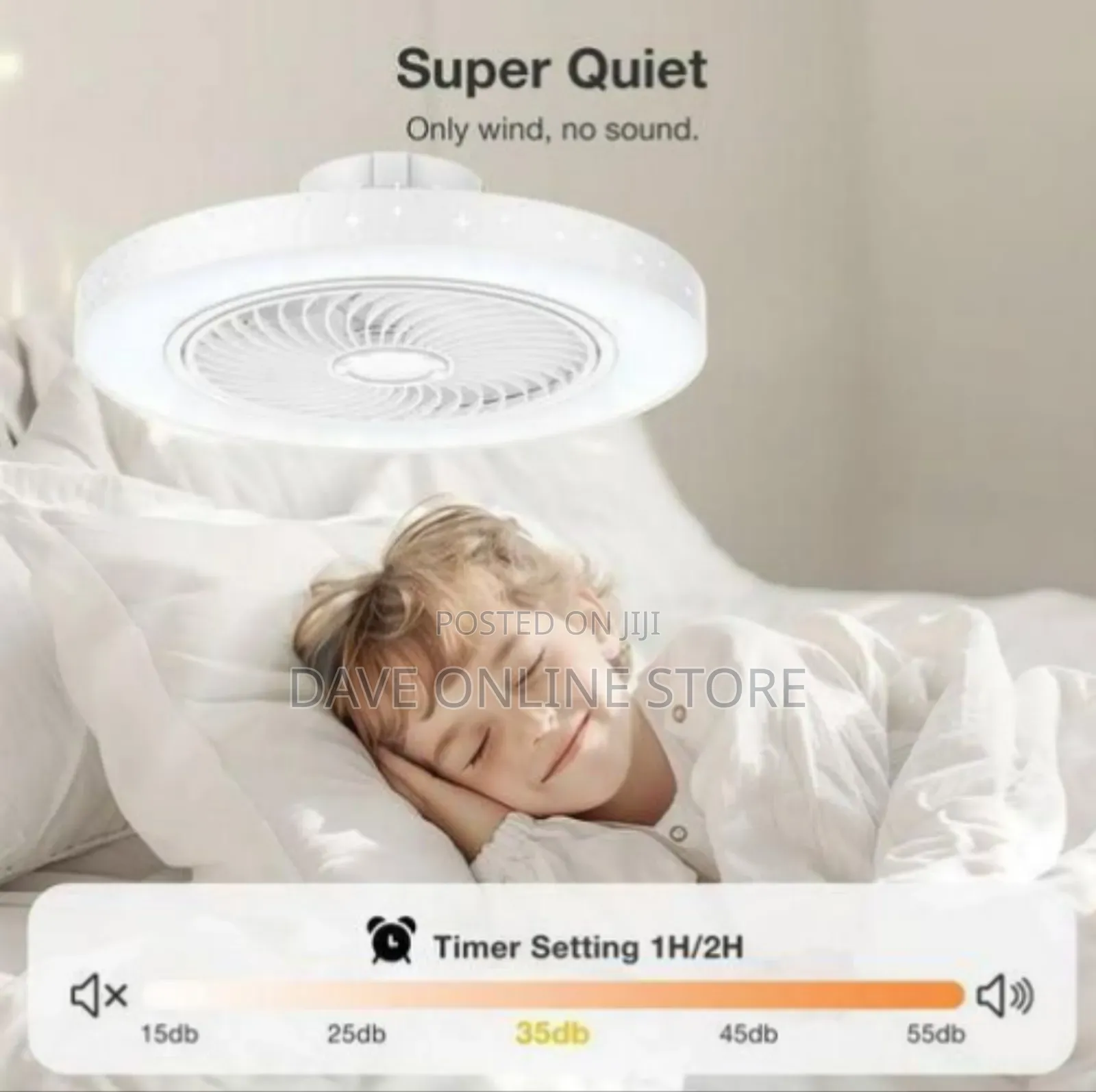 2-in-1 Ceiling Fan