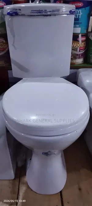 Sitting Toilet