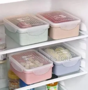 Eco-Friendly Lunch Box / Food Storage Container