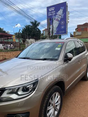 Volkswagen Tiguan S Automatic 2011 Gold