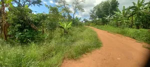 Hot Quick Sale Plot
