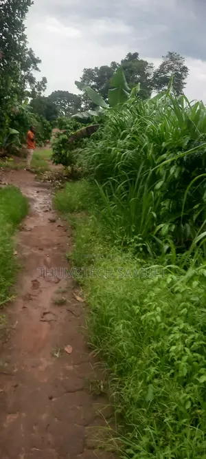 Grab a Titled 1⁄2 Acre Land (Wobulenzi)