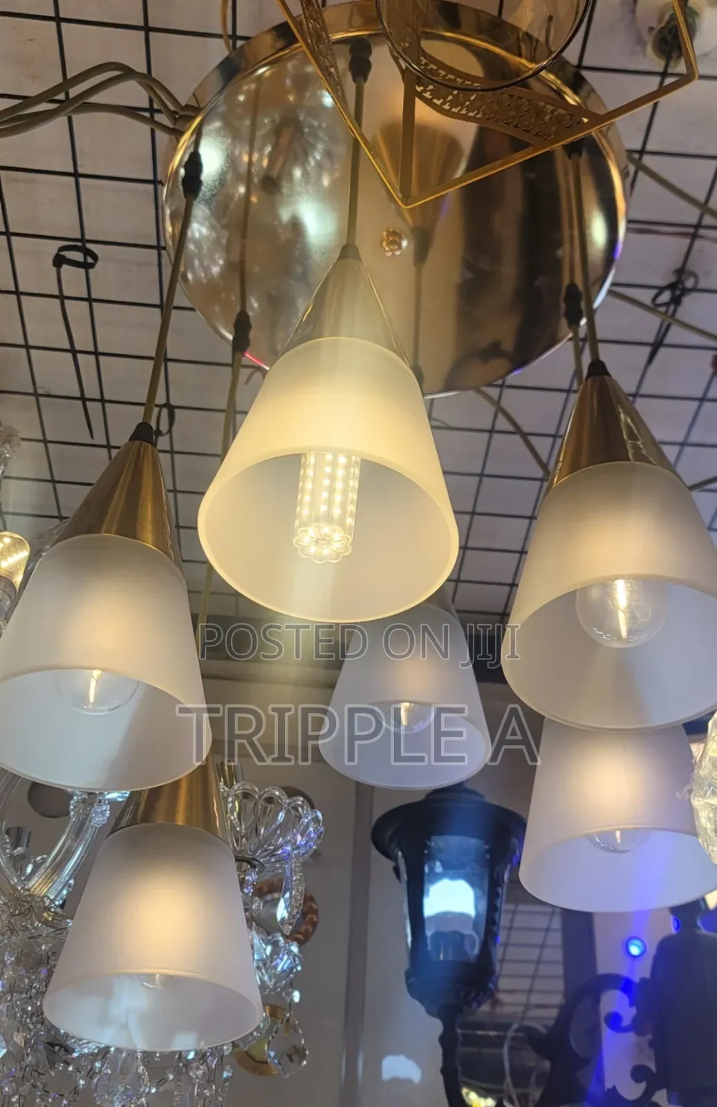 Multi-Light Pendant Fixture