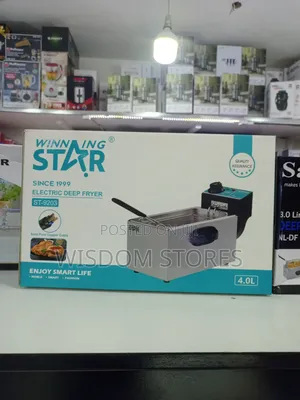 Winning Star Electric Deep Fryer (Model St-9203)