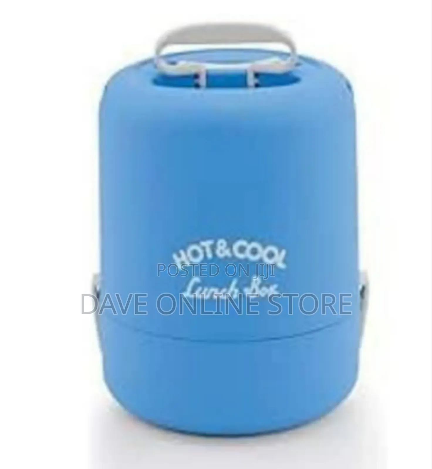Insulated "Hot Cool" Lunch Box