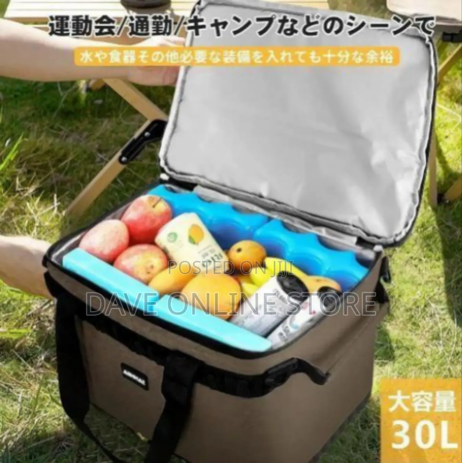 Professional Insulated Portable Cooler Bag