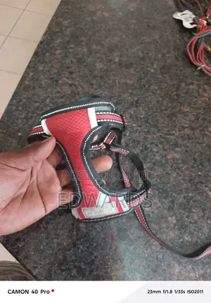 Puppy Harness