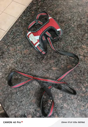 Puppy Harness