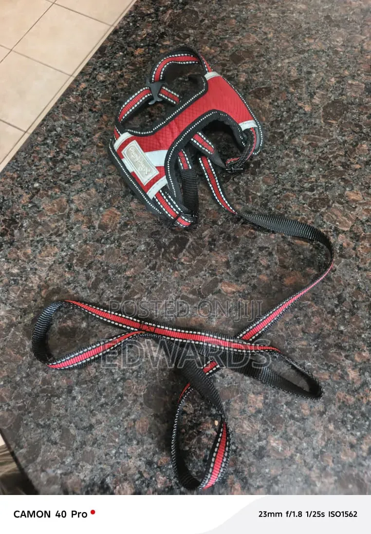 Puppy Harness