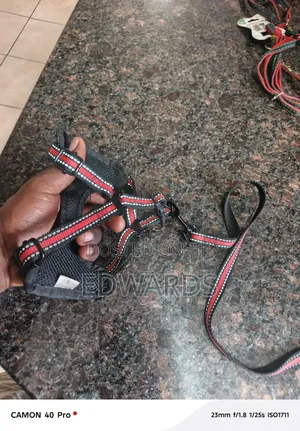 Puppy Harness