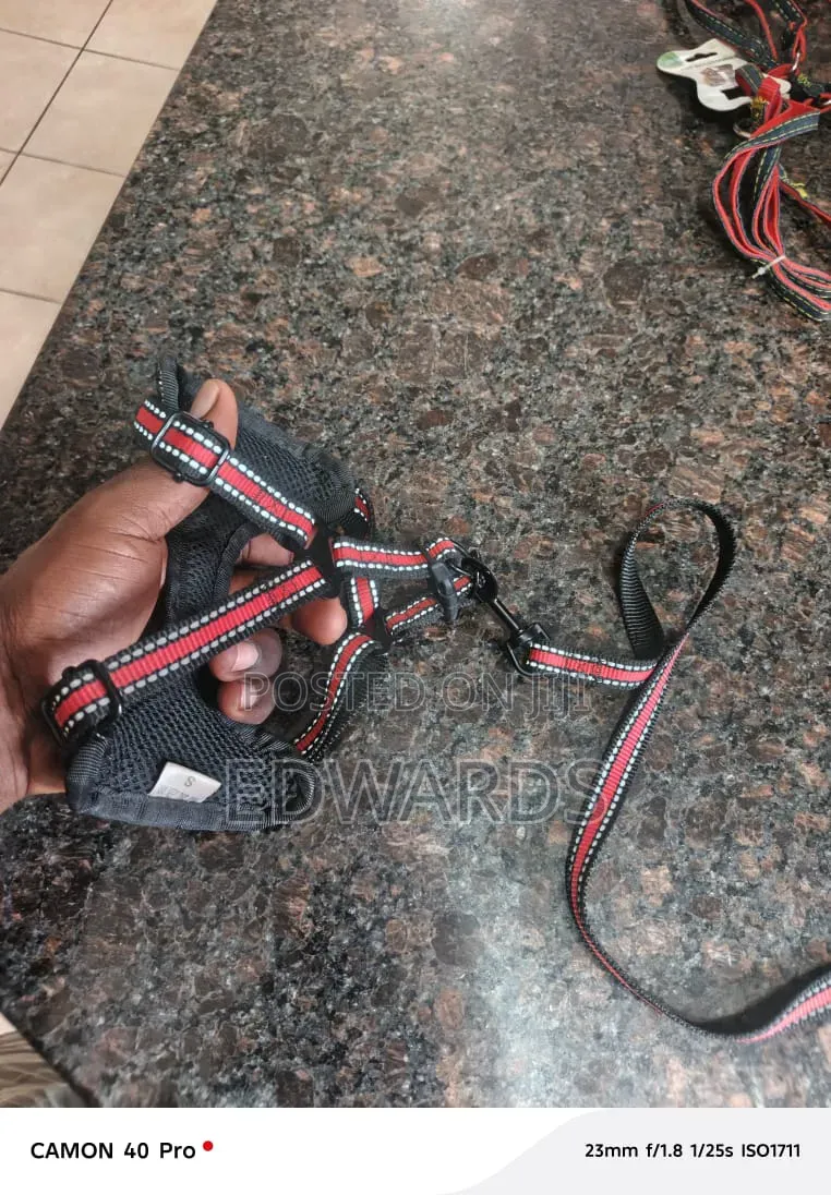 Puppy Harness