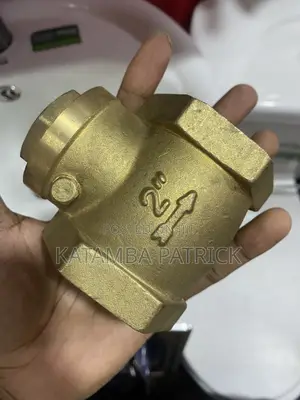 Non Return Valves