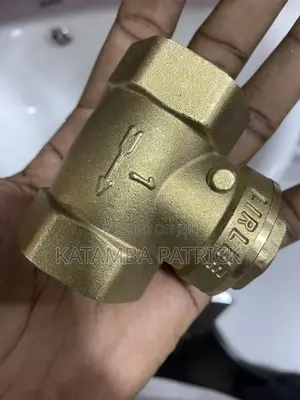 Non Return Valves