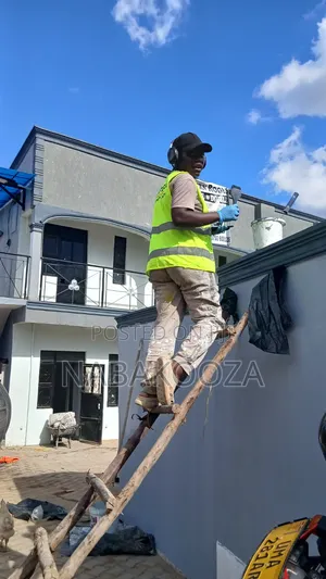 Proffesional Painter Available