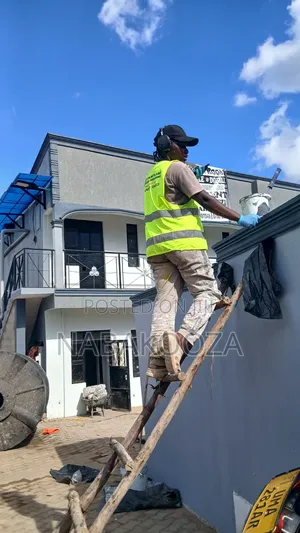 Proffesional Painter Available