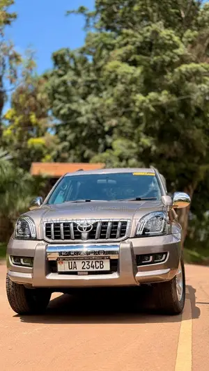 Toyota Land Cruiser 2011 Silver