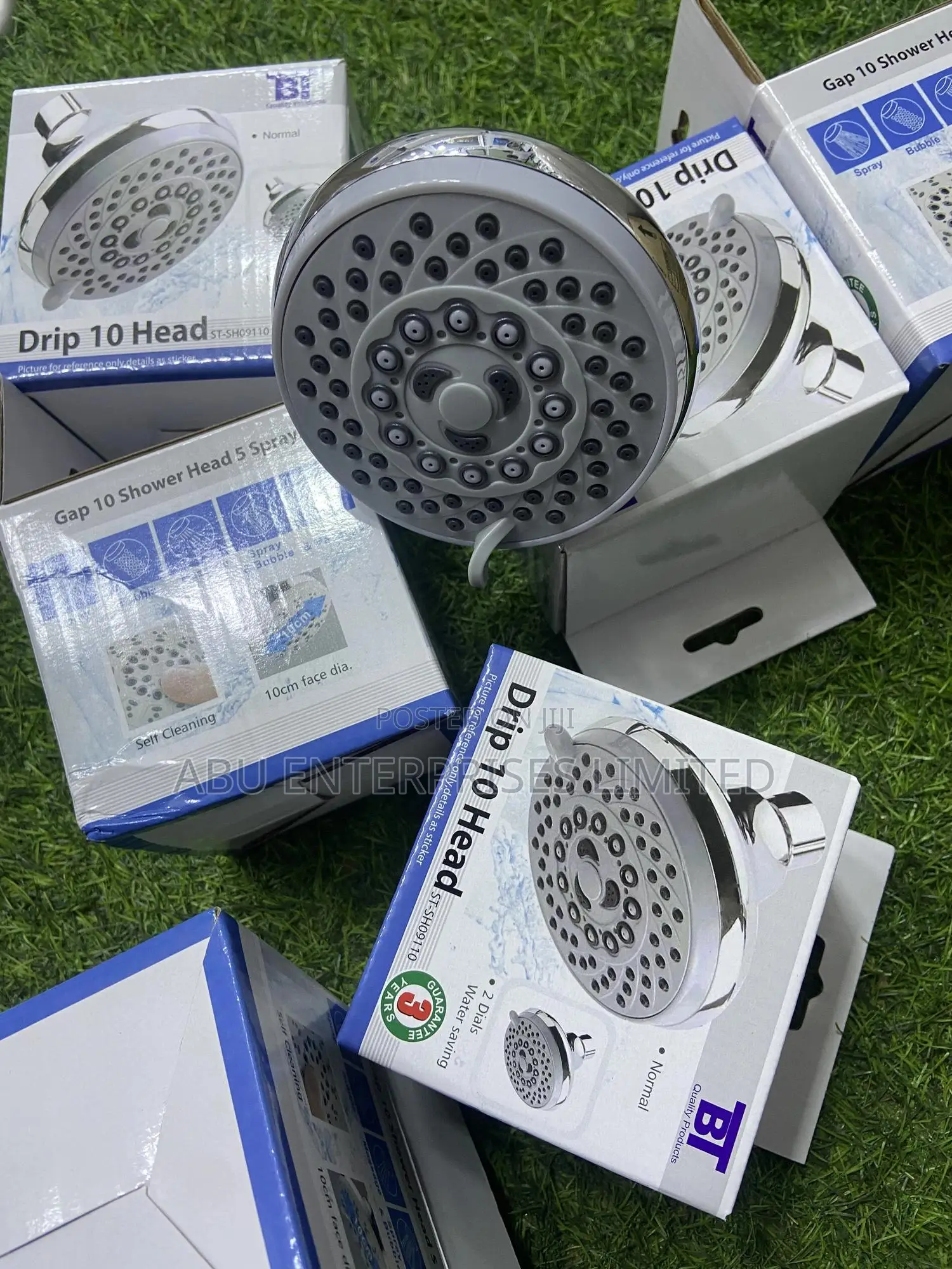 Shower Head Ordinary