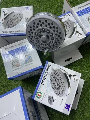 Shower Head Ordinary