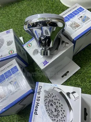 Shower Head Ordinary