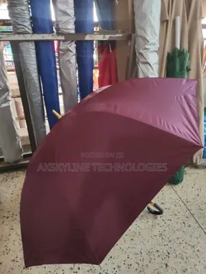 Portable Umbrella