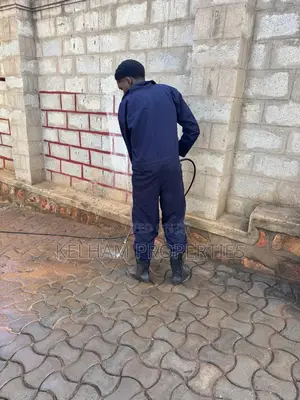 Paver Washing Services
