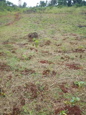 50 by 100ft on Quick Sale by Owner in Kisoga Banda Mukono With Title