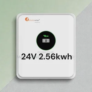 24v 2.56kwh Lithium Ion Battery Felicity HDHDH