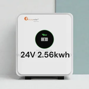 24v 2.56kwh Lithium Ion Battery Felicity LKFJ