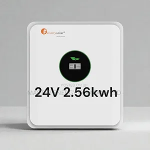 24v 2.56kwh Lithium Ion Battery Felicity MSJDH