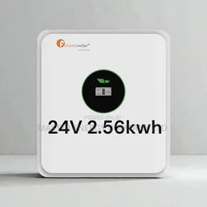 24v 2.56kwh Lithium Ion Battery Felicity NSHSHS