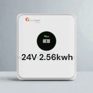 24v 2.56kwh Lithium Ion Battery Felicity BDGDB